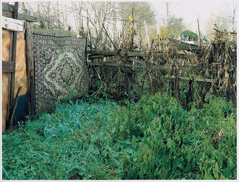 Gallery 6