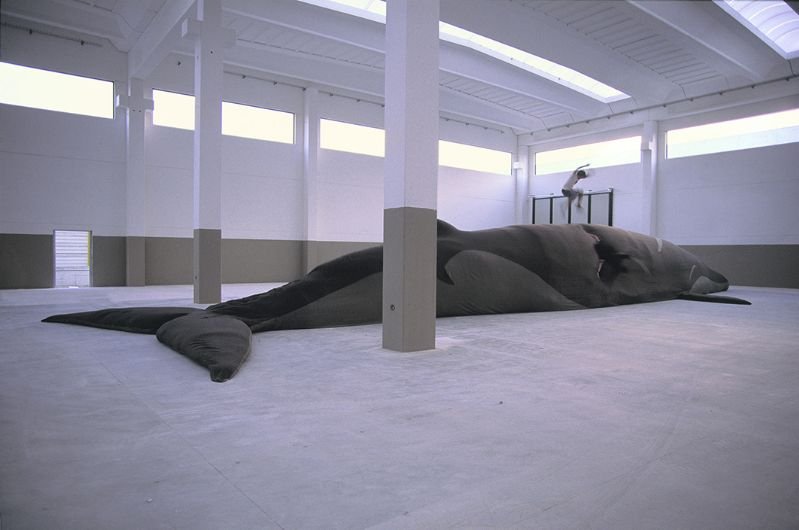 Gallery 4